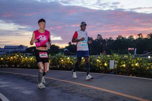 BIB: 
                            <button type="button" onclick="openModal(26554918)" class="btn btn-primary btn-sm float-right btn-popup" data-toggle="modal" data-target=".modal-high-quality">
                        <i class="fas fa-shopping-cart"></i> Add to Cart
                    </button>
                                            <button type="button" onclick="isThisMe(26554918, true)" class="btn btn-success btn-sm float-right btn-popup btn-isme hidden" data-toggle="tooltip" data-placement="bottom" title="นี่คือรูปของคุณใช่ไหม คลิกที่นี่เพื่อเอาเข้าอัลบั้ม">
                        <i class="fas fa-plus"></i> Add to album
                    </button>
                    <button type="button" onclick="isThisMe(26554918, false)" class="btn btn-warning btn-sm float-right btn-popup btn-isnotme hidden">
                        <i class="fas fa-ban"></i> Remove from album
                    </button>